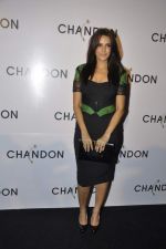 Neha Dhupia at Moet Hennesey launch of Chandon wines made now in India in Four Seasons, Mumbai on 19th Oct 2013